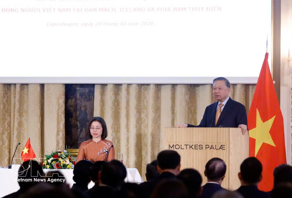 党中央总书记、国家主席苏林会见驻丹麦大使馆干部、职工及旅居丹麦、冰岛和瑞典南部越南人代表。图自越通社