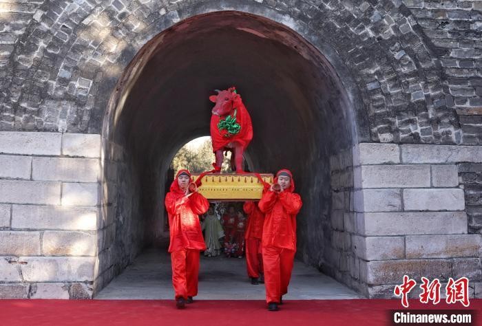 中国传统二十四节气“立春”当天，喊春队伍抬“春牛”穿过古观象台。