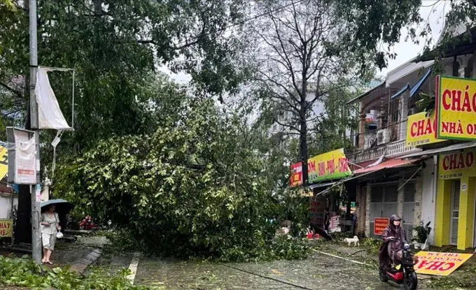 台风登陆后，乂安省妇儿医院周边街道一片狼藉。
