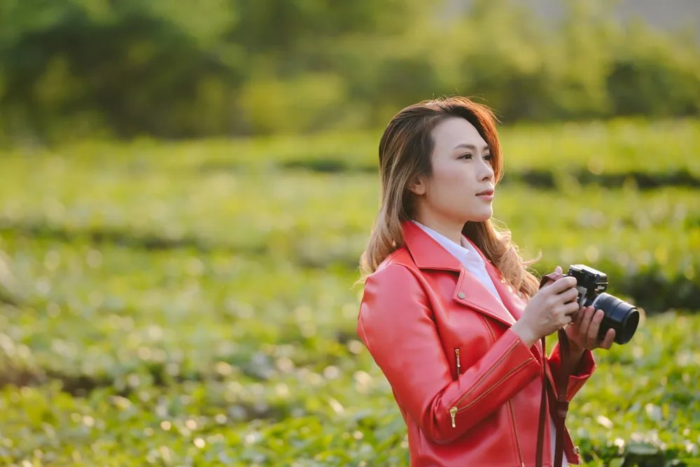 Mỹ Tâm ra mắt album trong chương trình Street Show ở phố đi bộ ảnh 2