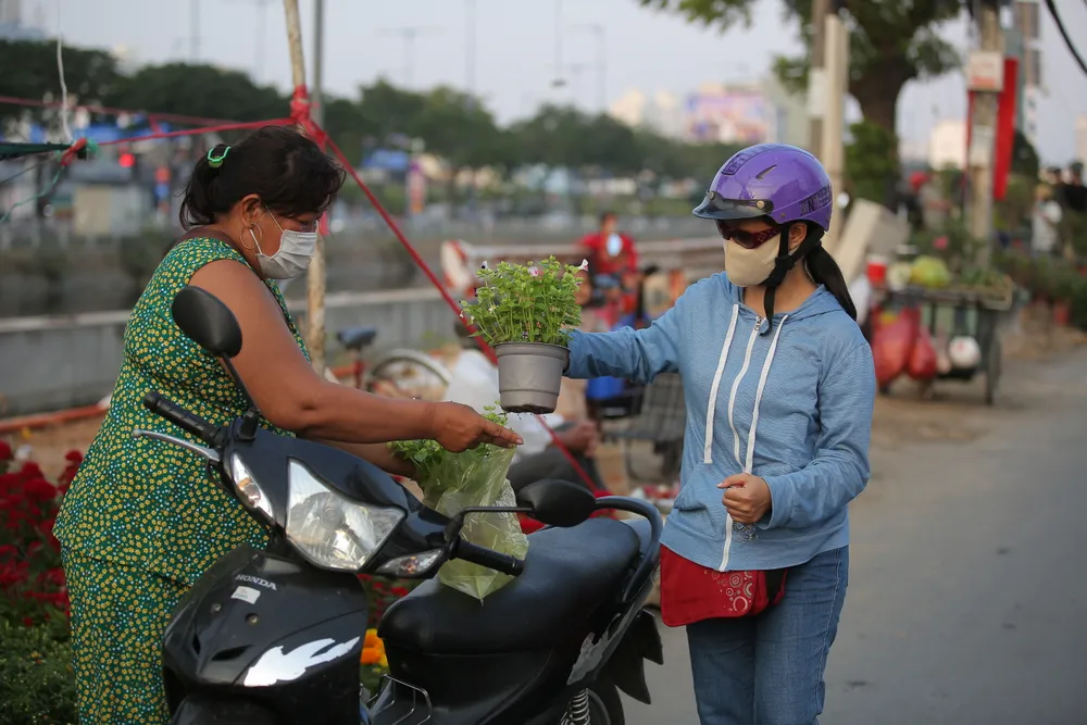 Khai mạc chợ hoa xuân “Trên bến dưới thuyền” Tết Nhâm Dần 2022 ảnh 2