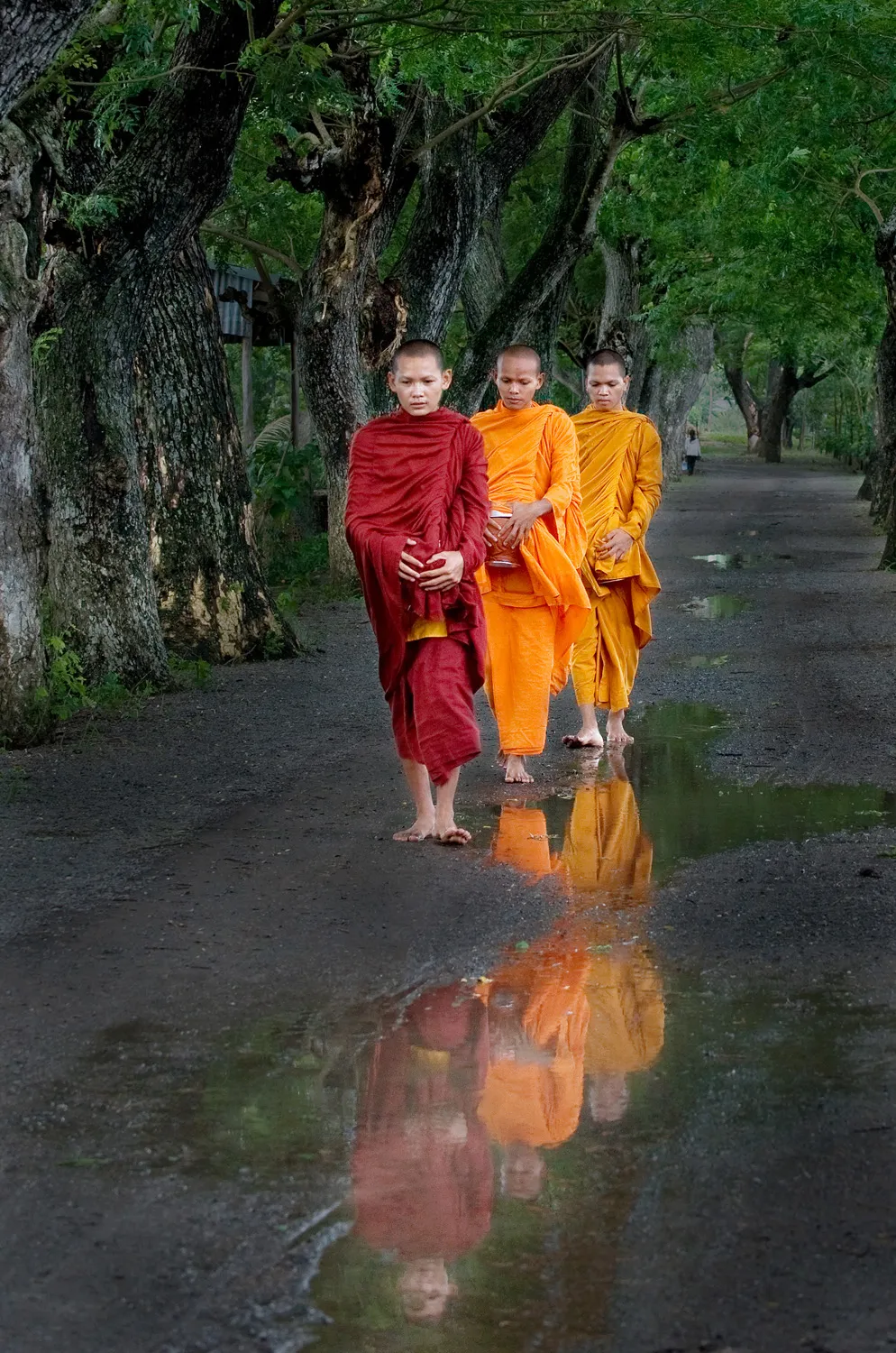 Một tác phẩm ảnh nghệ thuật đoạt giải trong cuộc thi "Phật giáo đồng hành cùng dân tộc"