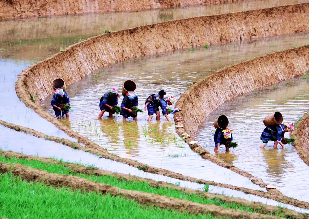 Tác phẩm nhiếp ảnh do NSNA Hoàng Thạch Vân thực hiện