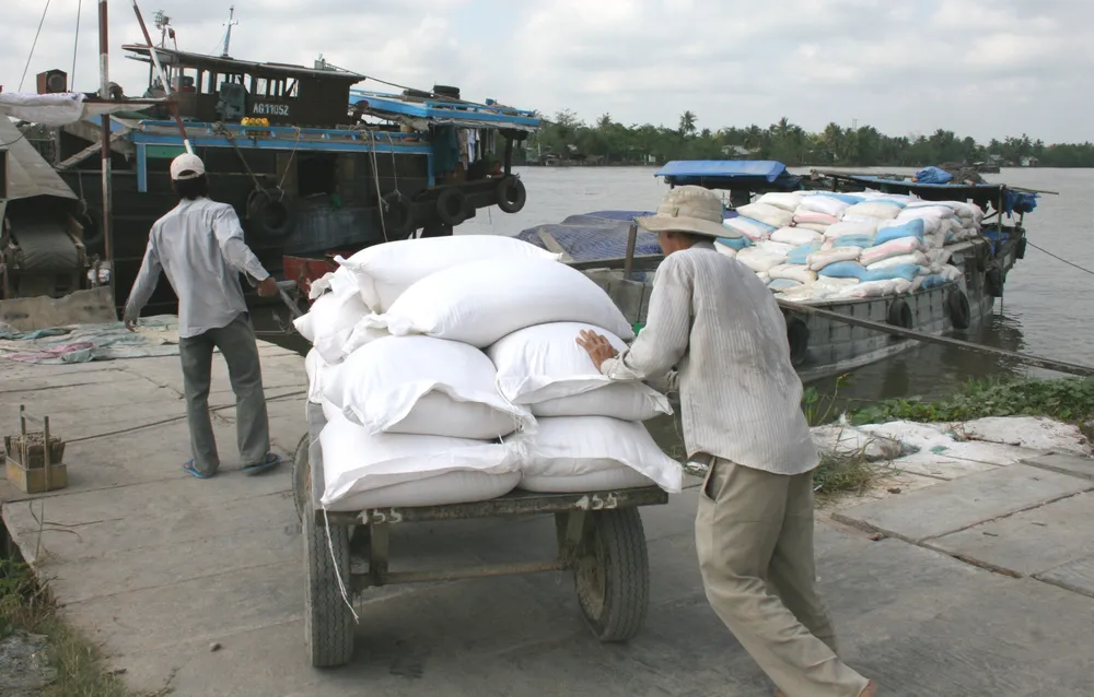 Lúa “sốt” theo hợp đồng xuất khẩu: Bước ngoặt tạo nền tảng vững chắc cho hạt gạo trên thương trường ảnh 1