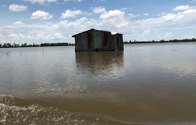 ĐBSCL mong được hỗ trợ mô hình sinh kế bền vững trong mùa lũ ảnh 3