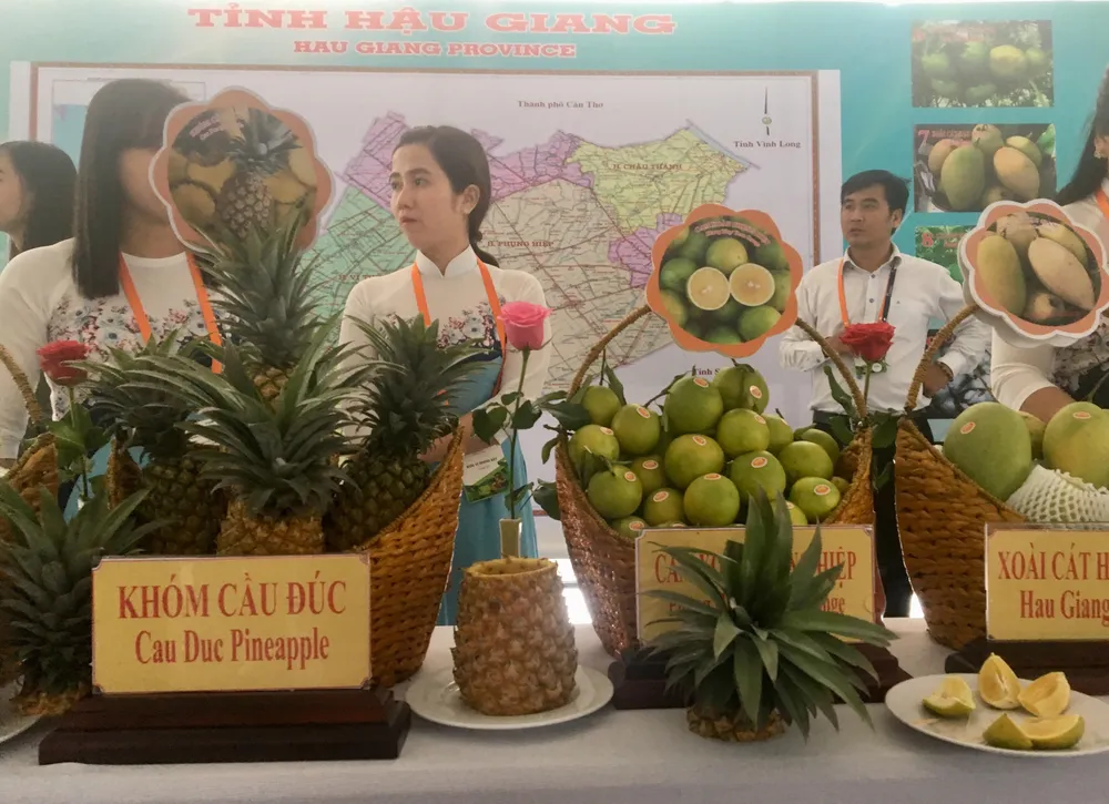 Hậu Giang tìm cách xây dựng chuỗi giá trị nông sản ảnh 2