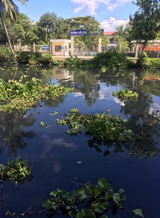 Hậu Giang: Dòng nước đen “bí hiểm” lan rộng ảnh 3