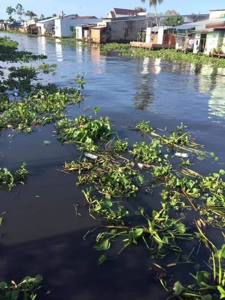 Hậu Giang: Dòng nước đen “bí hiểm” lan rộng ảnh 1