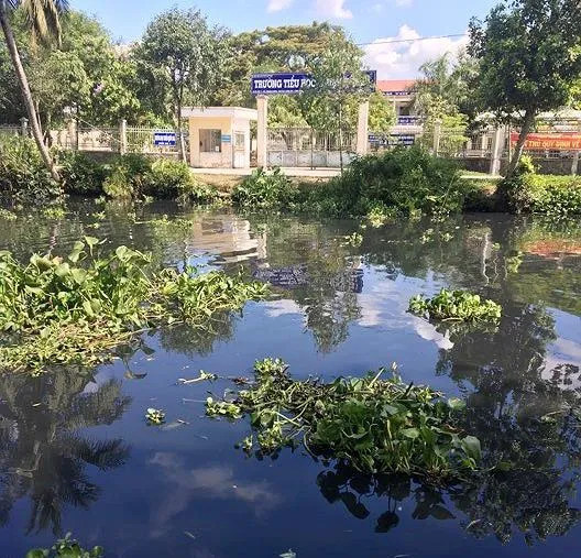 Hậu Giang: Hơn 6.000 hộ dân chờ nước sạch do nước sông ô nhiễm nghiêm trọng ảnh 1