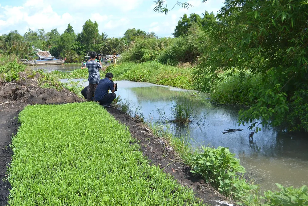 Vụ dòng nước đen ở Hậu Giang: Tuần này sẽ công bố nguyên nhân ảnh 5