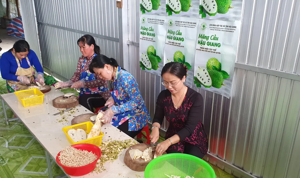 Nhiều mô hình thiết thực giúp phụ nữ khởi nghiệp ở Hậu Giang ảnh 1