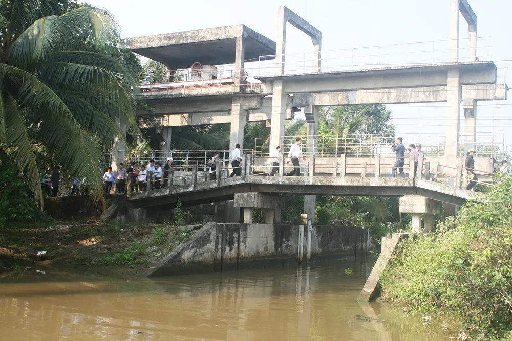 ĐBSCL gìn giữ “tài sản” quan trọng để thích ứng với biến đổi khí hậu ảnh 3