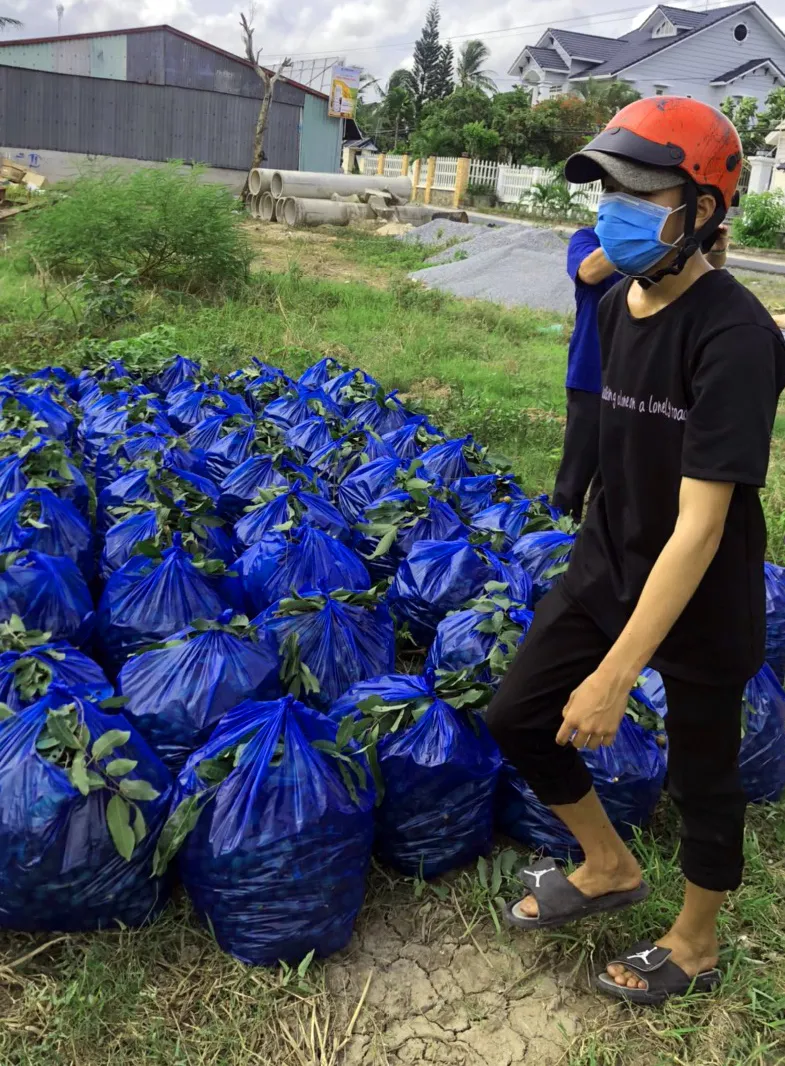 Hậu Giang: Nỗ lực kết nối đầu ra cho nhiều nông sản ảnh 1