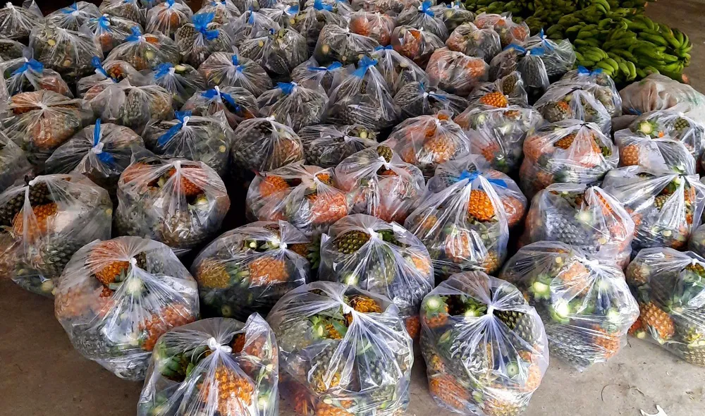 Hậu Giang: Những chuyến xe đầy ắp nghĩa tình