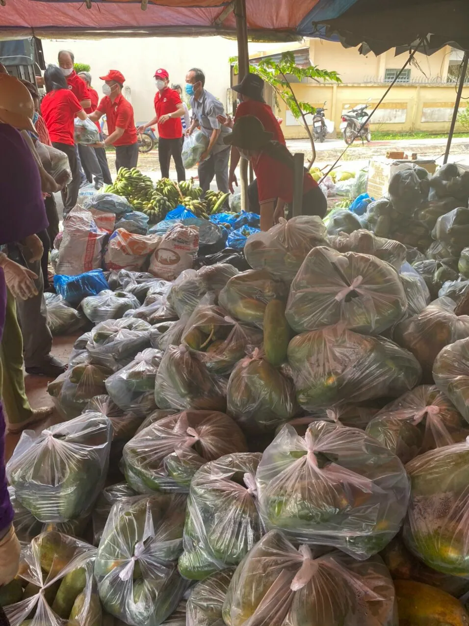 Hậu Giang: Cho mở lại nhiều hoạt động ở địa bàn vùng xanh ảnh 1