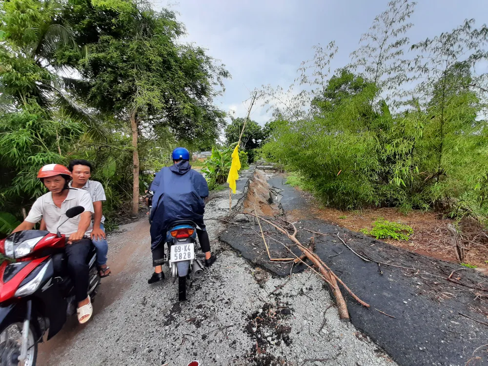 Sụt lún ở ĐBSCL không được kiểm soát có thể khiến đồng bằng chìm xuống dưới mực nước biển ảnh 1