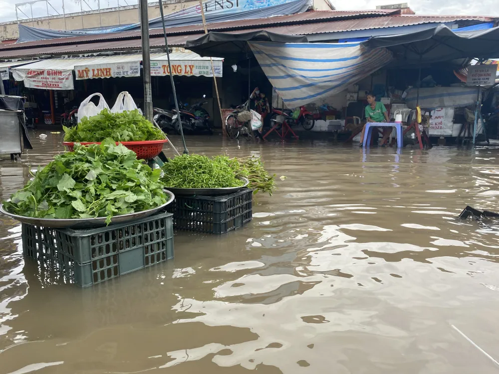 Cần Thơ: Triều cường đạt đỉnh, gây ngập sâu nhiều nơi ảnh 6