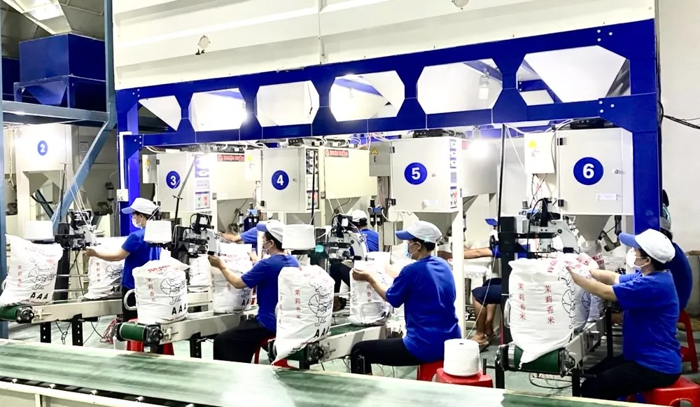 3-11 dây chuyền sản xuất gạo xuất khẩu hiện đại của Công ty CP Trung An (TP Cần Thơ).JPG