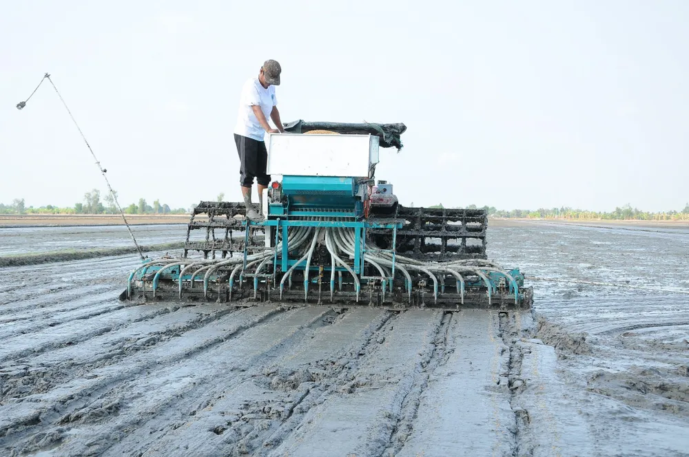 10 Nong dân miền Tây bắt đầu áp dụng các biện pháp tiên tiến khi xuống giống - CAO PHONG.jpg