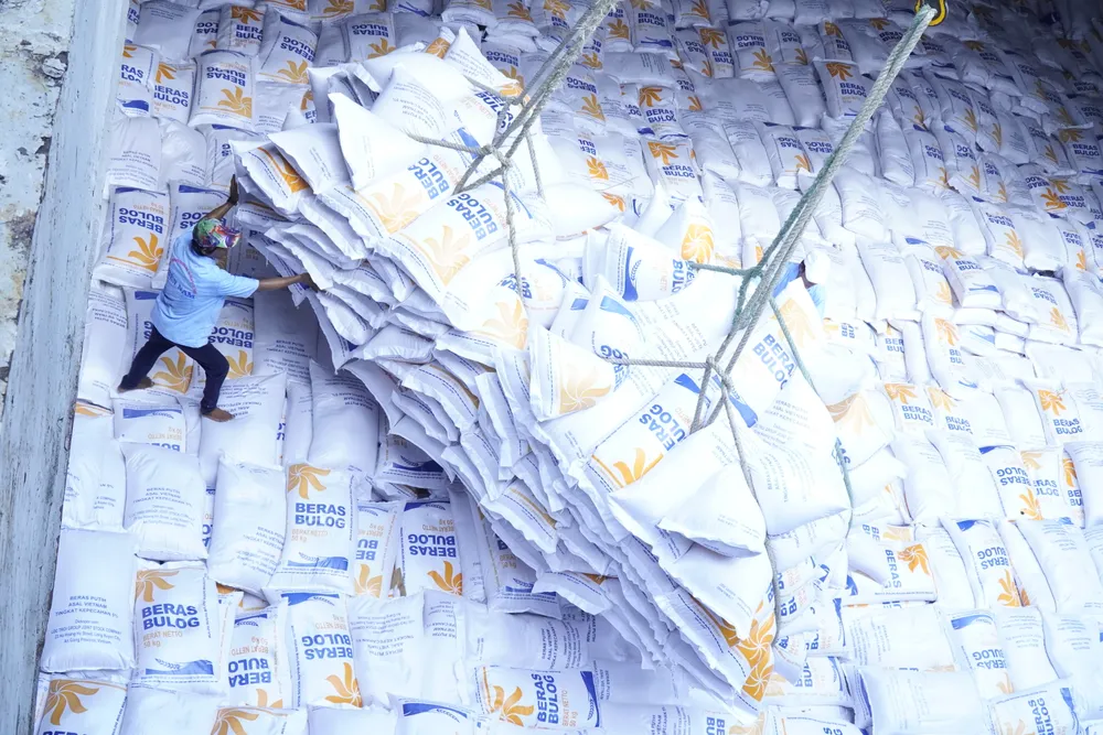 Lô gạo của Lộc Trời xuất khẩu sang Indonesia  (6).JPG