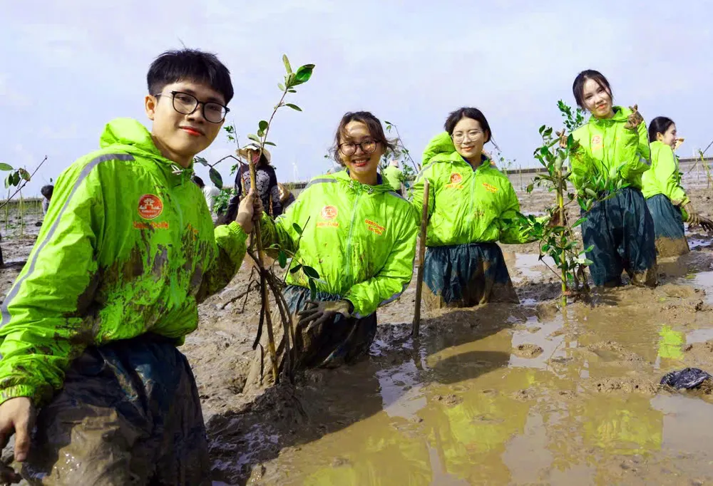 Sinh viên Trường đại học Cần Thơ tham gia trồng cây tại thị xã Vĩnh Châu, tỉnh Sóc Trăng