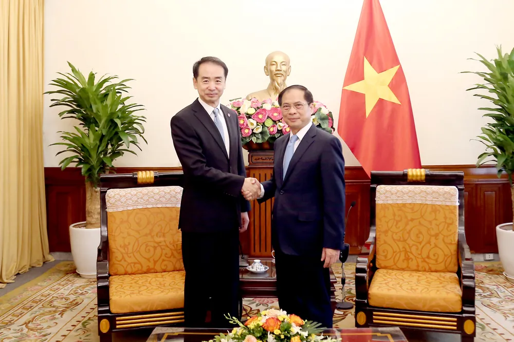 Phó Thủ tướng, Bộ trưởng Bộ Ngoại giao Bùi Thanh Sơn tiếp Đại sứ Trung Quốc Hà Vĩ