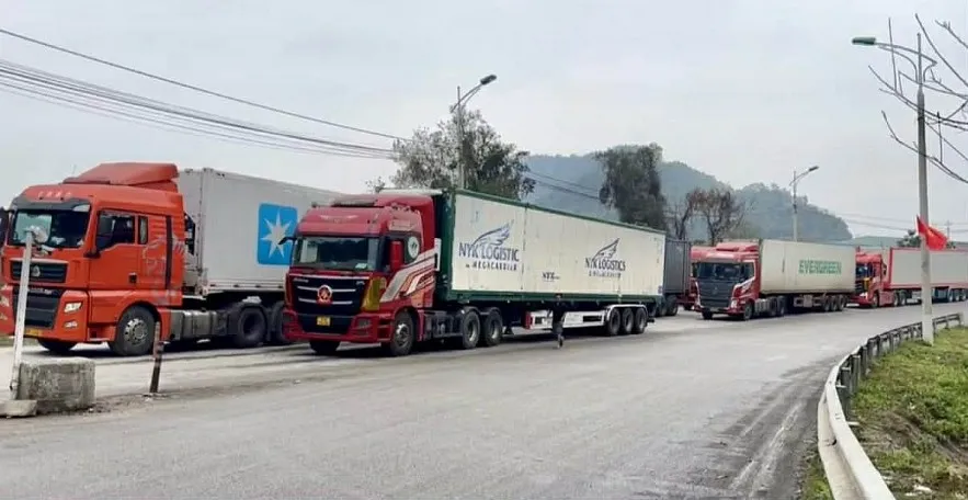 Ảnh minh họa. Nguồn: Hải quan