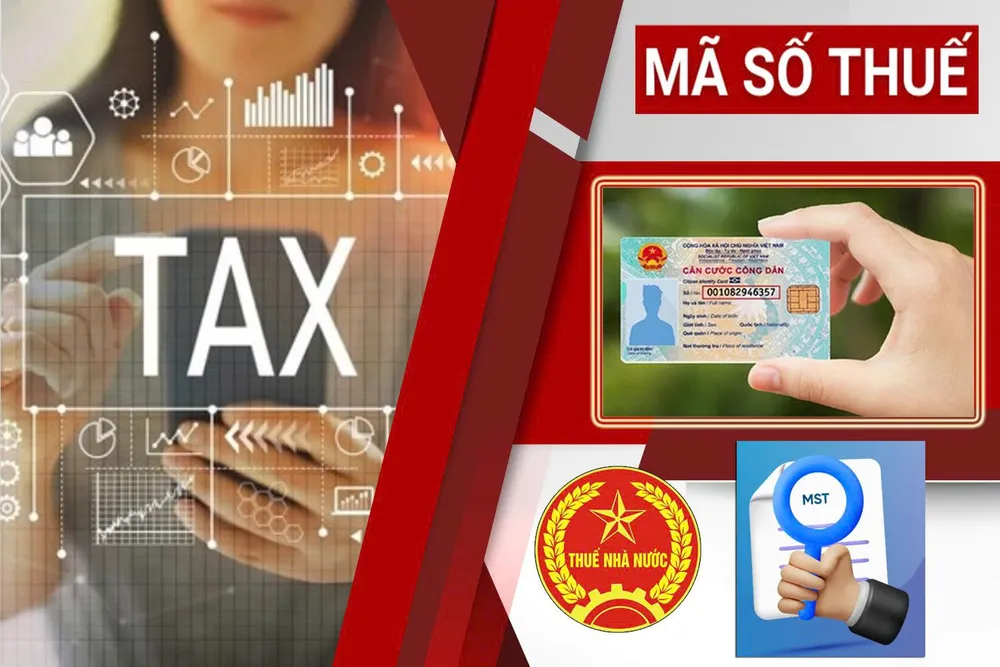 Ảnh minh họa. Ảnh: CT