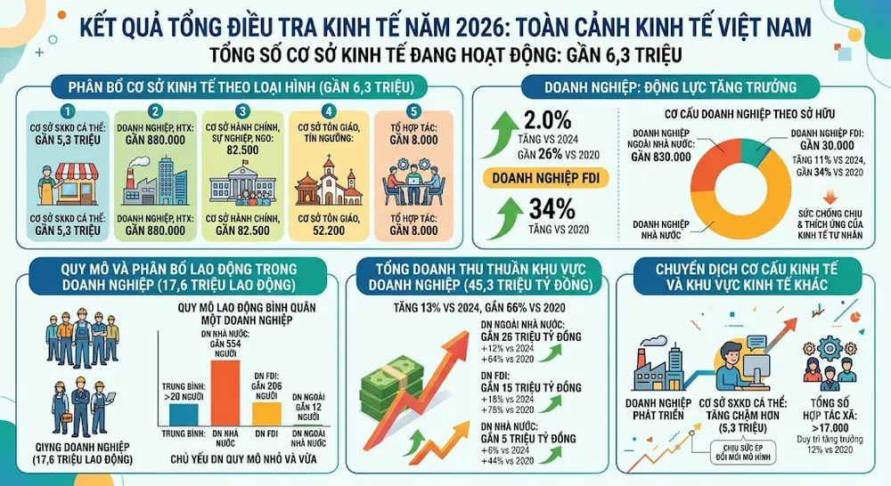 Kết quả sơ bộ tổng điều tra kinh tế 2026. Ảnh: LƯU THỦY - AI tạo