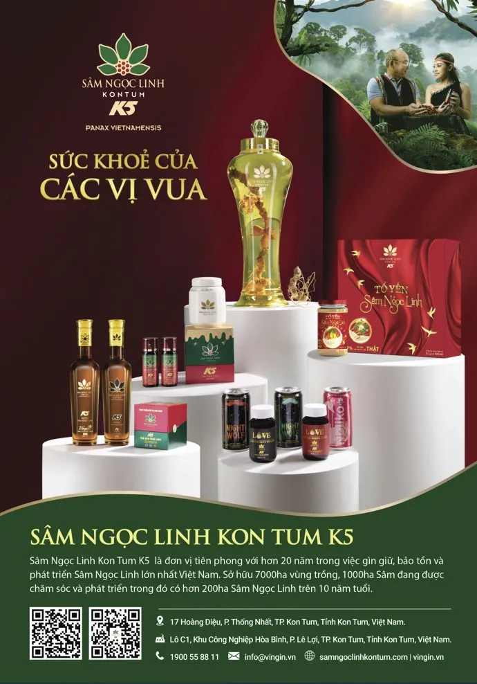 “Người thầm lặng” hơn 20 năm nặng lòng với hành trình giữ tinh hoa Sâm Ngọc Linh Kon Tum K5 ảnh 1