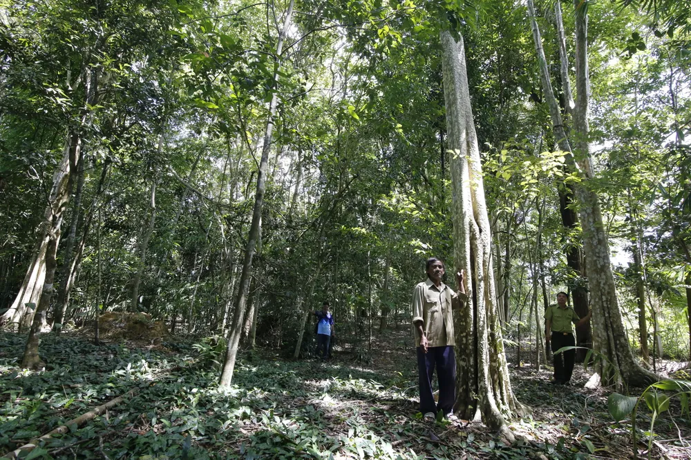 Chuyện ở khu dự trữ sinh quyển thế giới - Bài 1: Di sản của già làng cách mạng  ảnh 1