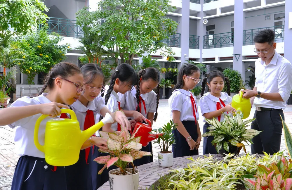 Chăm sóc mảng xanh tại Trường Tiểu học Hồ Văn Huê,  quận Phú Nhuận, TPHCM