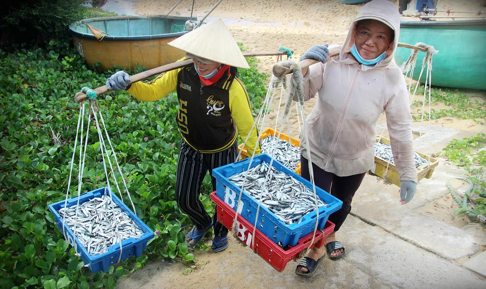 Ngư dân thúng chai ảnh 6