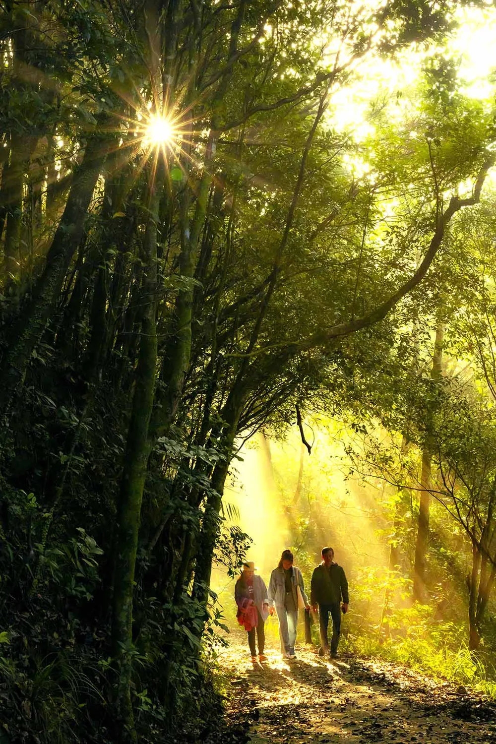 Hoang sơ Bạch Mã ảnh 1
