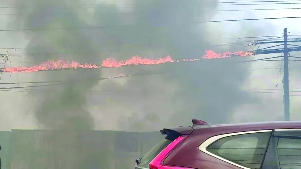 Đốt rác làm cháy dây điện tại Đồng Nai