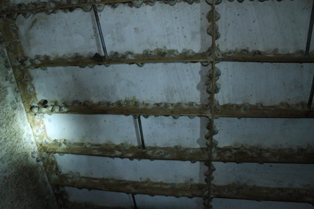 Tổ yến chuẩn bị thu hoạch tại xã Tam Thôn Hiệp, huyện Cần Giờ, TPHCM