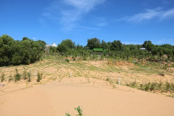 Vụ thắng cảnh đồi Cát Bay Mũi Né bị xâm phạm: Yêu cầu rà soát, xác minh lại để trình UBND tỉnh Bình Thuận xử lý