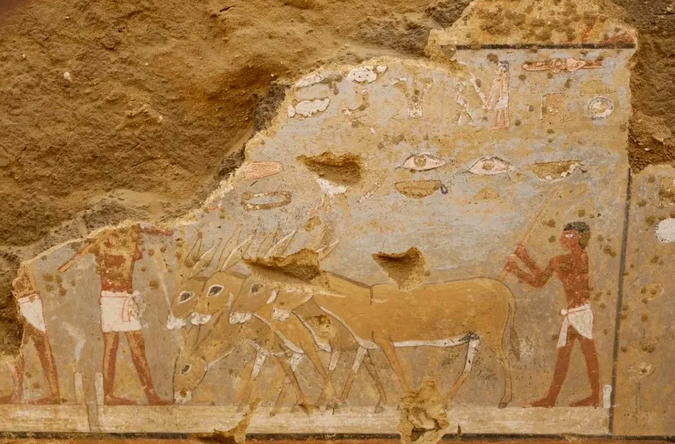 CN5 A-Anh1-vncn a.jpg