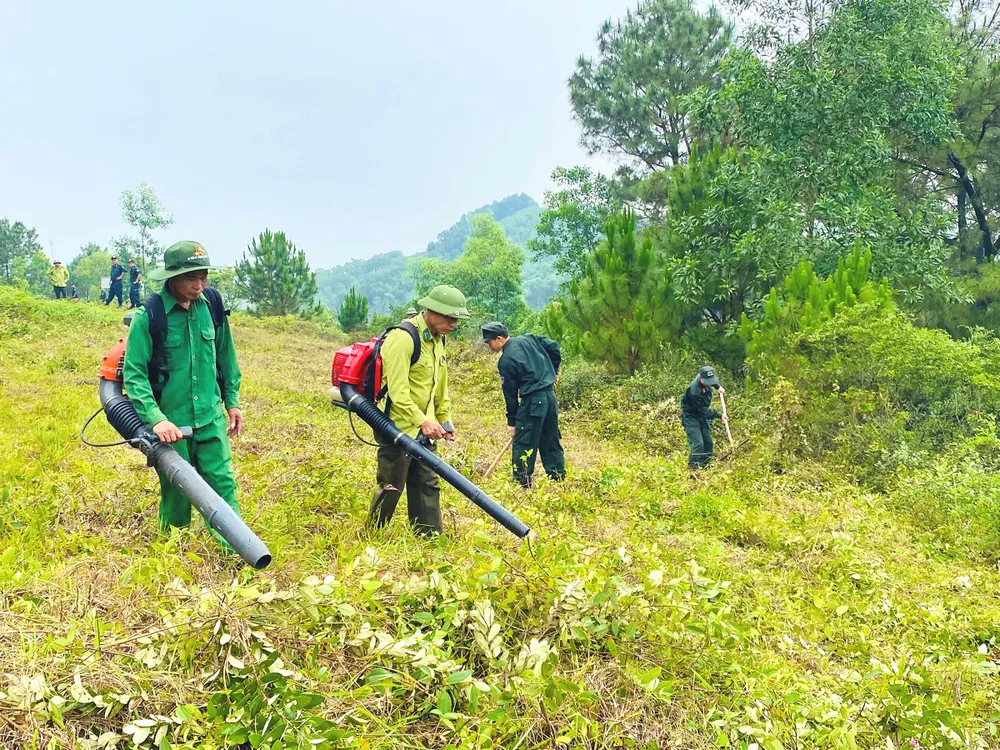 Đường băng cản lửa ở Ngã ba Đồng Lộc 