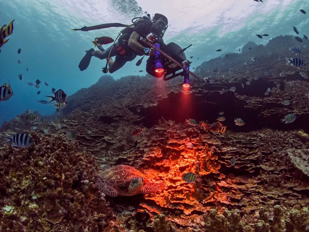 DiveRay tạo bản đồ 3D của đáy đại dương. Ảnh: PlanBlue