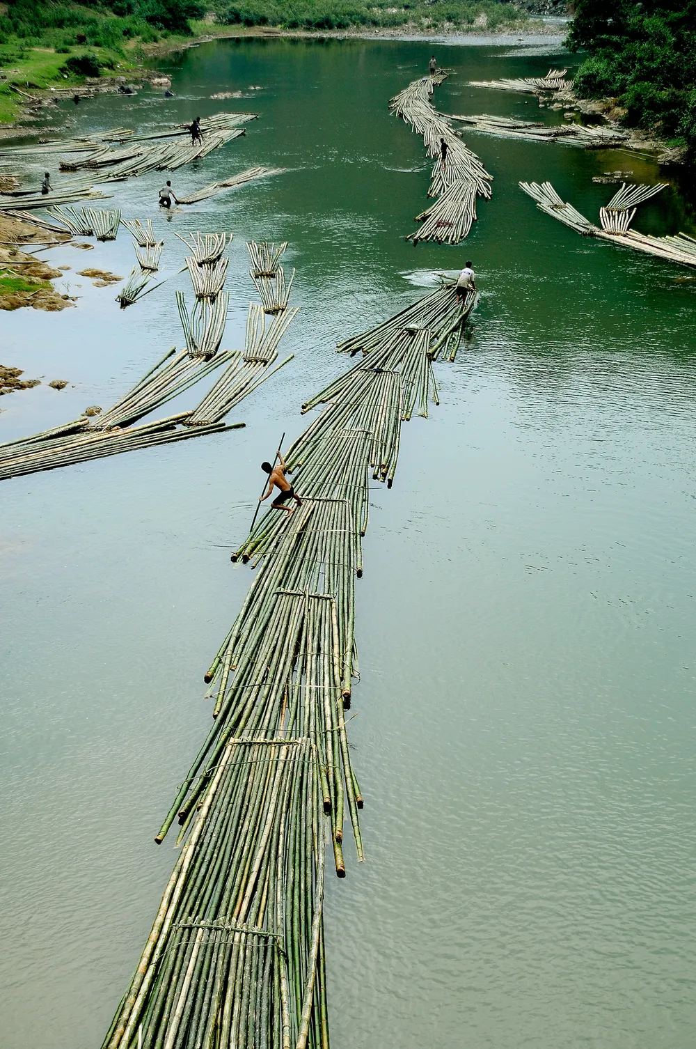 Phát triển xanh - Xuôi dòng.jpeg