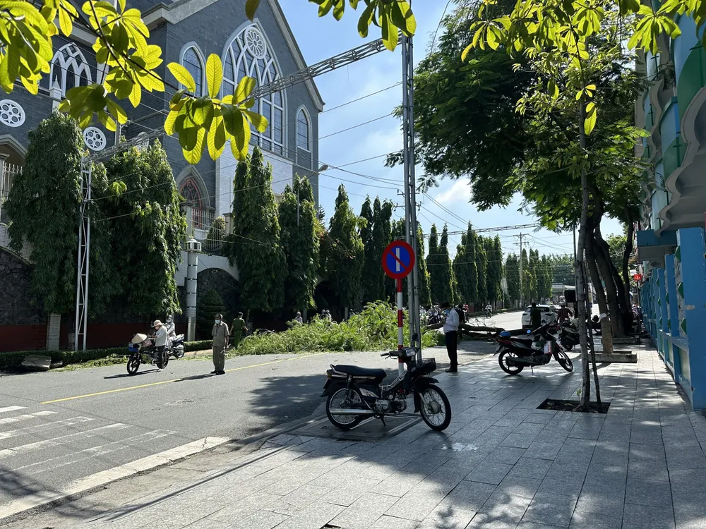 Lực lượng chức năng của phường Hiệp Thành, TP Thủ Dầu Một, Bình Dương tham gia giải quyết sự cố cây đổ trên địa bàn.jpg