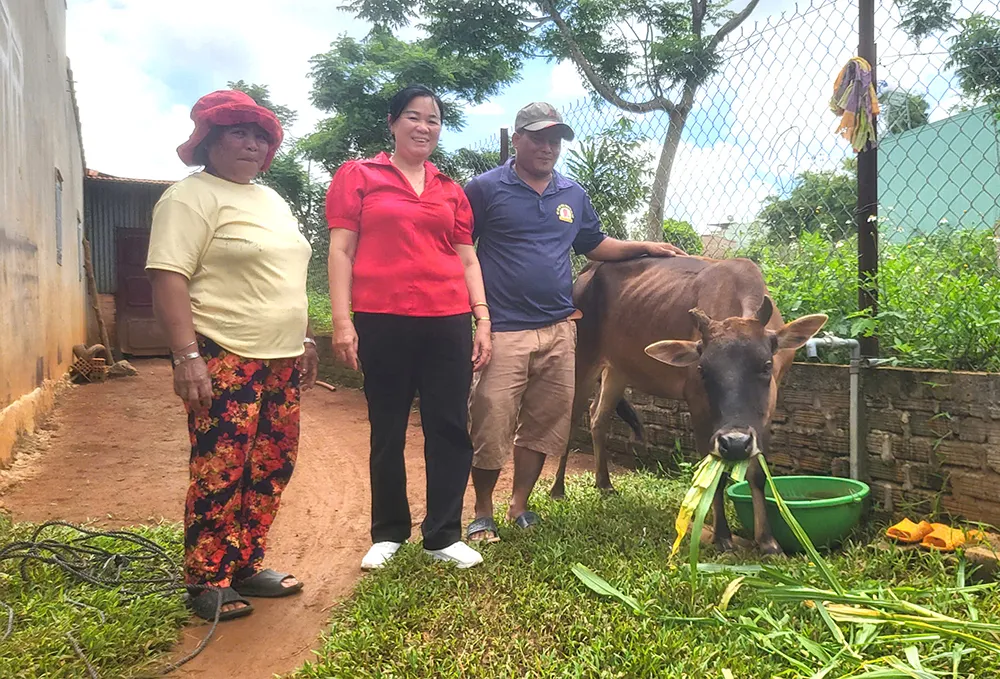 Dự án “Ngân hàng bò” đã hỗ trợ cho anh Y Kă (phường Thắng Lợi, TP Pleiku, tỉnh Gia Lai) một con bò cái để anh có cơ hội phát triển kinh tế 