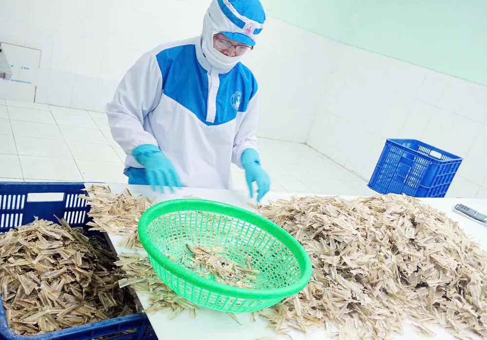 Sản phẩm xương cá đục của Công ty TNHH Tứ Hải (phường Phước Thắng, TPHCM) xuất khẩu sang Nhật Bản