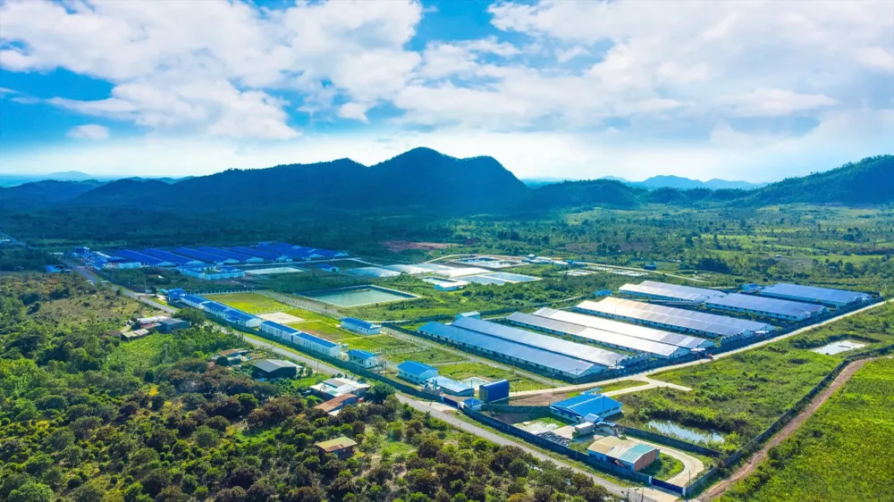 Vũ Mạnh Hùng: Doanh nhân tiên phong chuyển đổi số