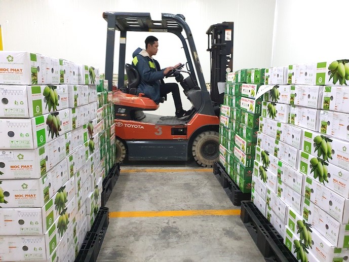 准备出口中国市场的水果。