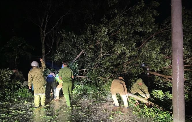 德乐省职能力量处理台风登陆后的树木倒伏。