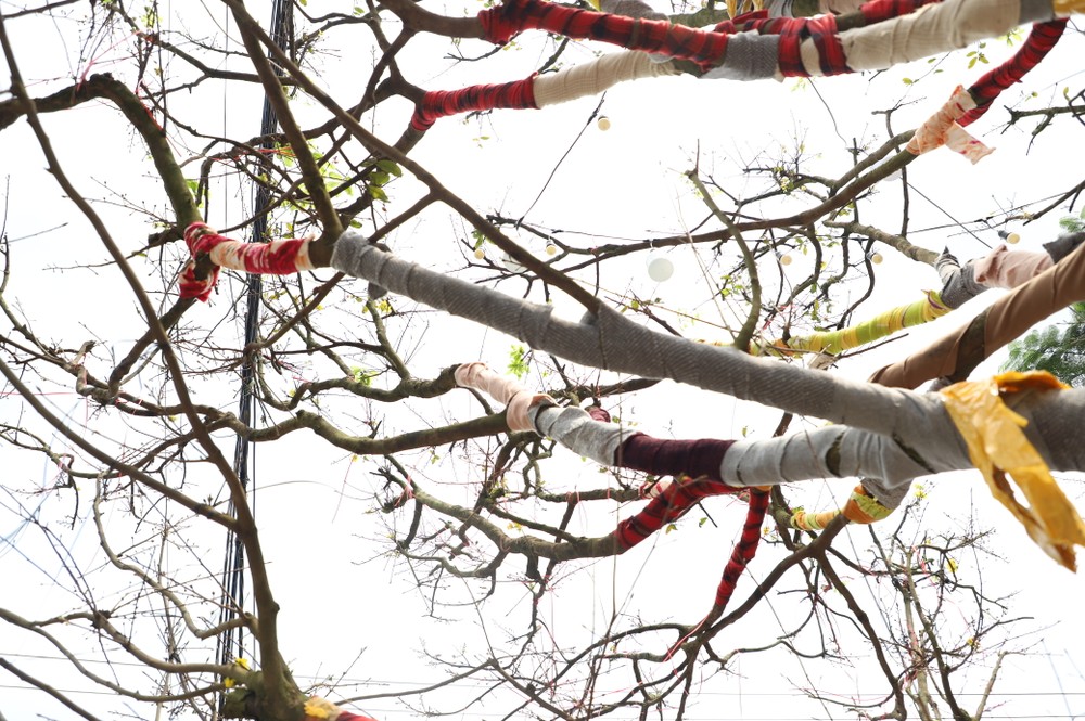 2  img-3331-3560-1554.jpg