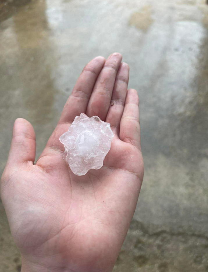 义安省葵州乡民众捡到的冰雹。