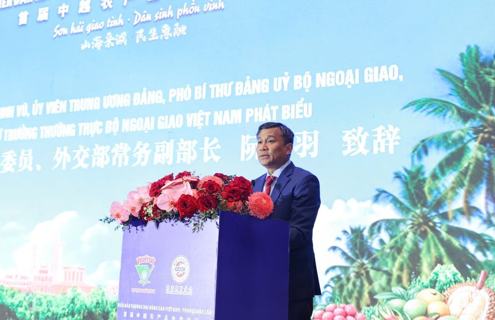 党中央委员、外交部常务副部长阮明宇在论坛上致辞。